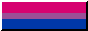 Bi Pride